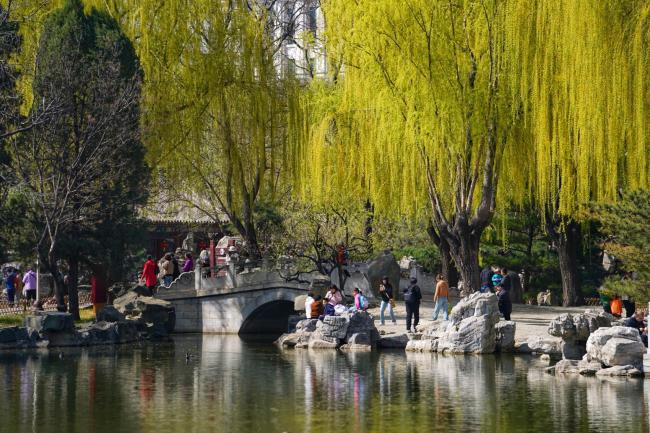 赏春花、看演出、观非遗……北京清明推出多项文旅活动